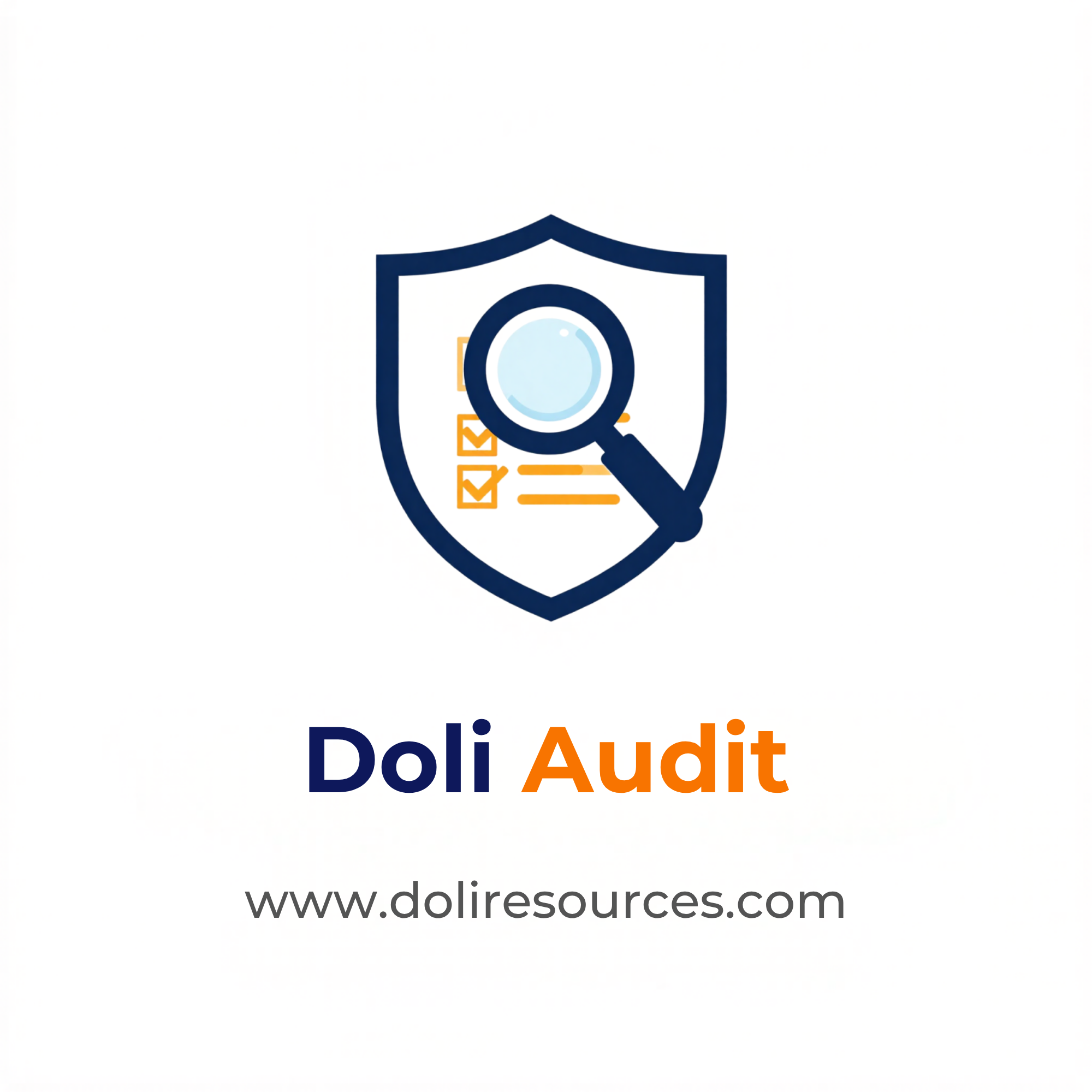 Doli Audit – Internal Audit From Plan To Closed Action
