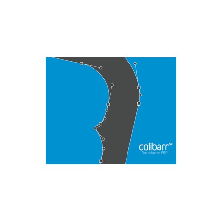 Dolibarr quick user guide