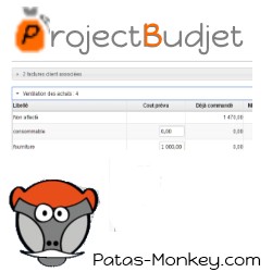 projectbudget : prévision et suivi des coûts par projet