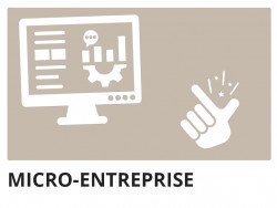 Micro-enterprise