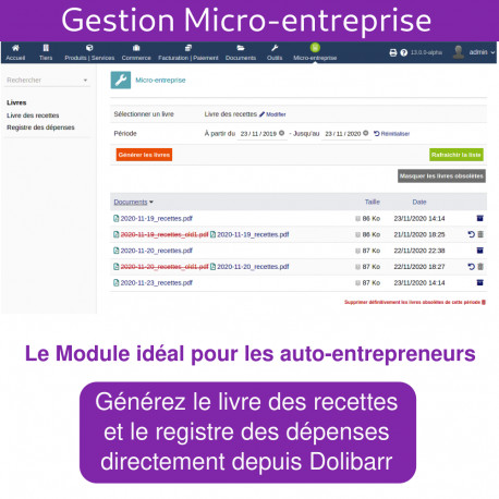 Gestion Micro-entreprise - Livre des recettes et des dépenses