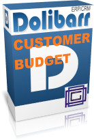 Customer Budget