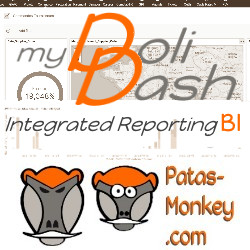 myDolidash : Reporting BI intégré à Dolibarr