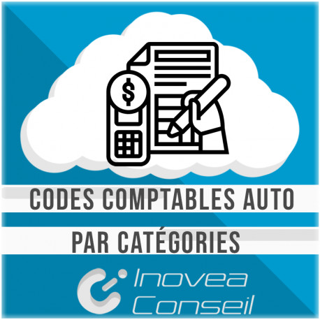 Automatic accounting codes by categories