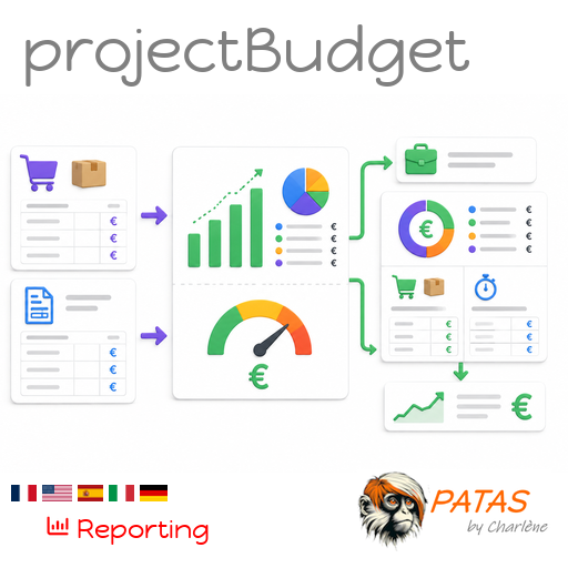 projectbudget : prévision et suivi des coûts par projet