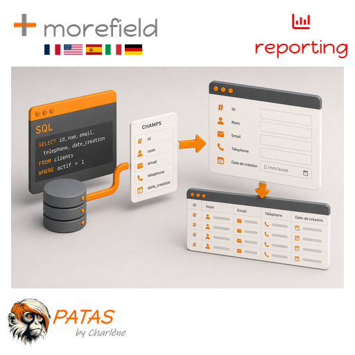 Morefield : add fields on card and list based on SQL query