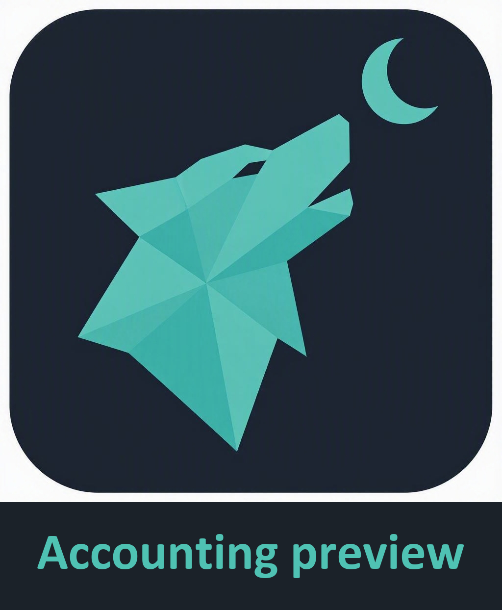 Accounting Preview
